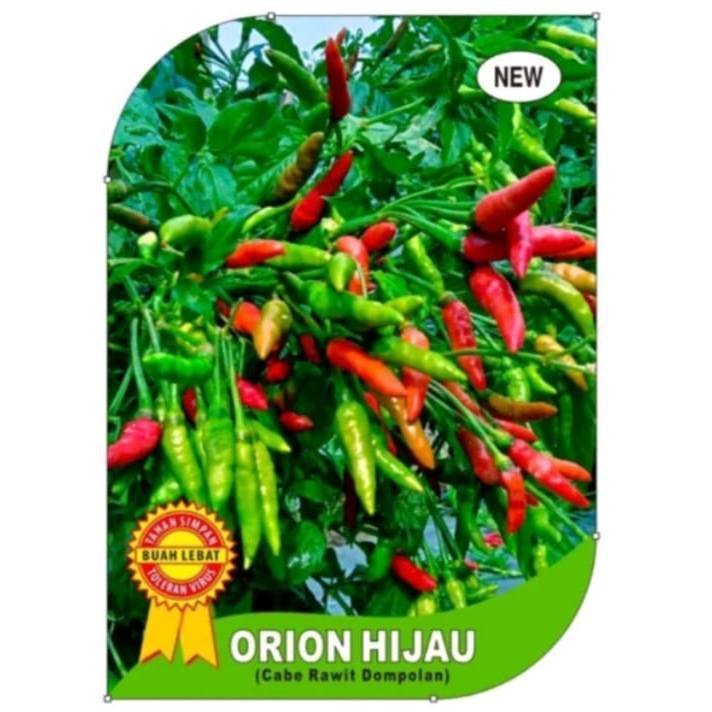 Kadar kecambah 95%-Bibit Benih Cabe Rawit Orion Hijau Bergerombol isi 50 biji