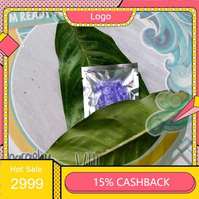 LIMA DUA SATU PROMO SEPECIAL MURAH dedaunan daun taman alami di sekitar kita