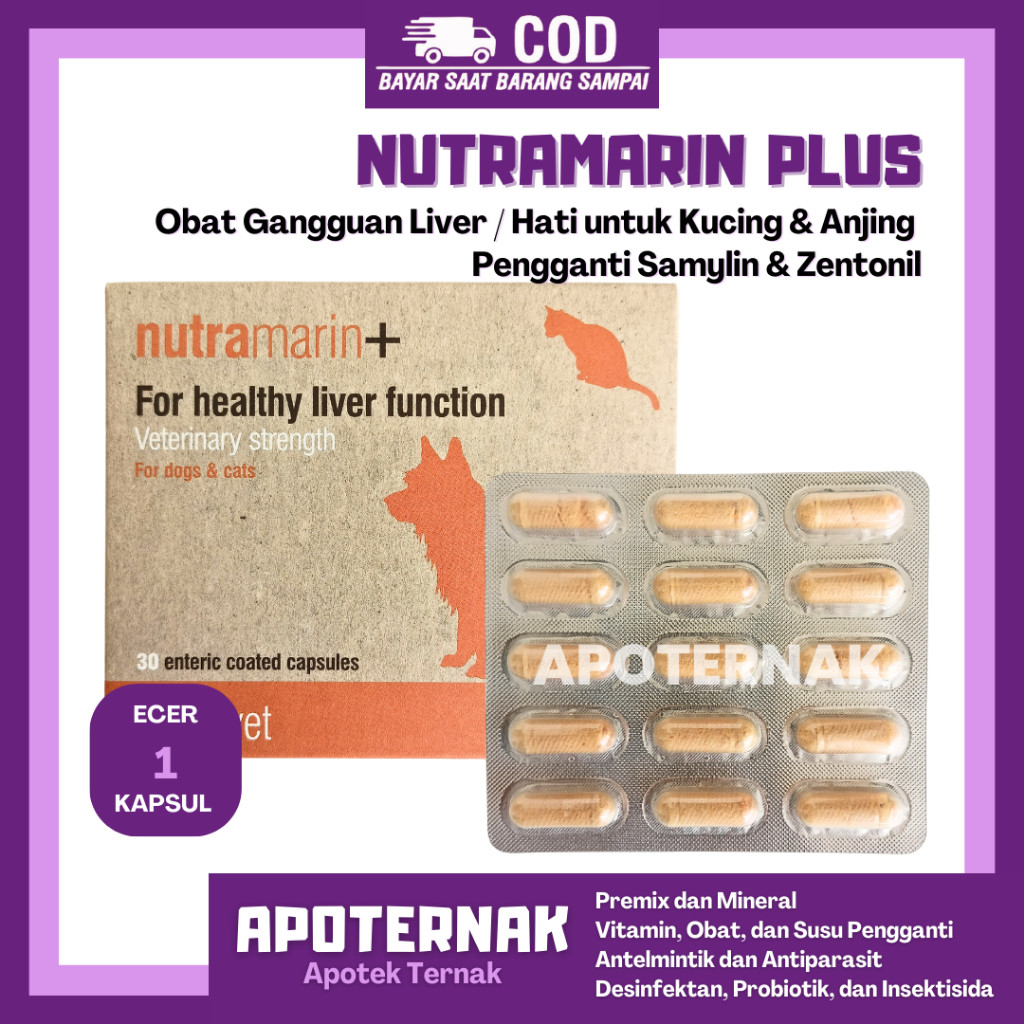 NUTRAMARIN PLUS ECER 1 KAPSUL - Obat Gangguan Liver Hati untuk Kucing & Anjing / Pengganti Samylin &