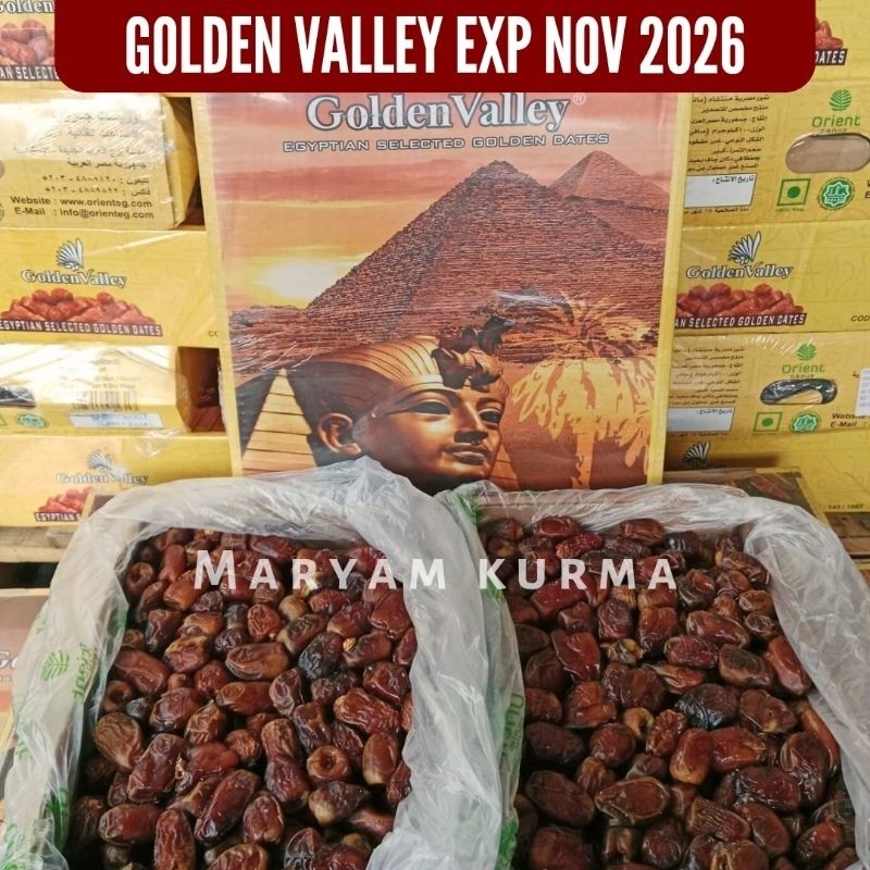 GOLDEN VALLEY / KURMA MESIR 10 KG MEDAN