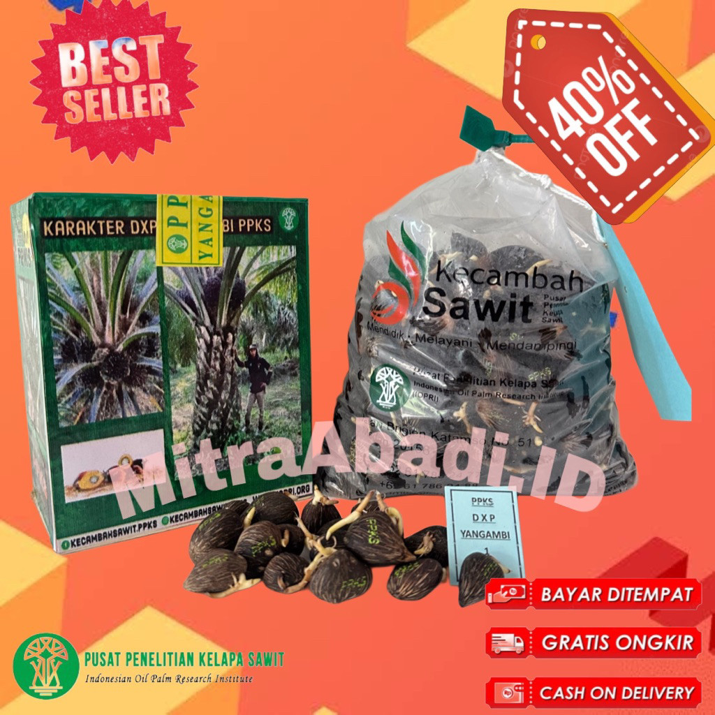PROMOBENIH SAWIT PPKS YANGAMBI UNGGUL ASLI MEDAN ISI 250 dan 150 butirMURAHH