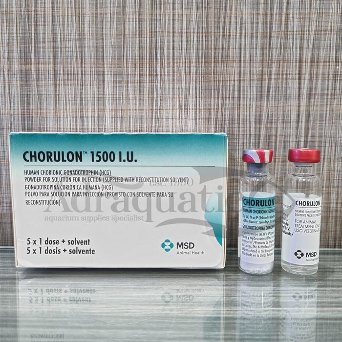 (Mitra ID.Store) 1 PASANG CHORULON 1500 IU HCG HORMON IKAN PEMIJAHAN GONADOTROPIN OBAT