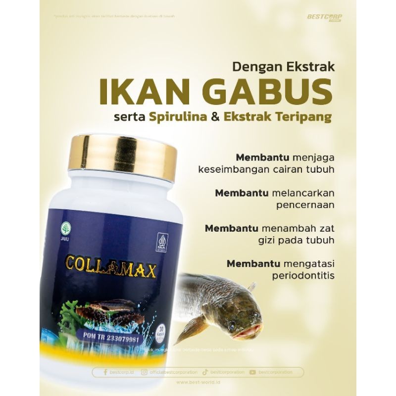 COLLAMAX Herbal Ekstrak Ikan Gabus untuk mempercepat penyembuhan luka,patah tulang, luka diabetes dl