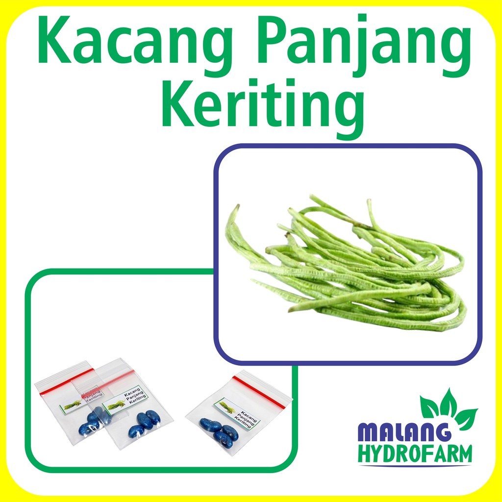 20Benih Kacang Panjang Keriting Unggulan Berkualitas bibiit biji repack viva kacang kalimantan kacan