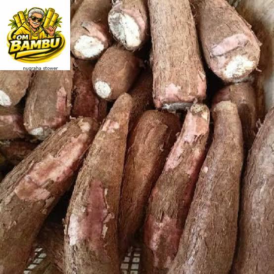 UBI KAYU RENYAH/UBI ROTI/UBI EMPUK/SINGKONG RENYAH EMPUK/SINGKONG - 1 kg ad