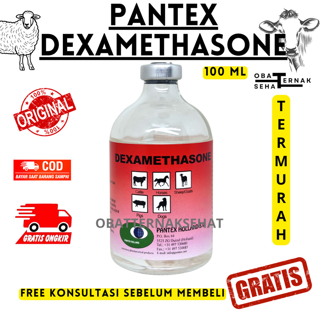 PANTEX DEXAMETHASONE 100ML - Obat Anti Inflamasi Hewan Sapi Kambing - Pantex Holland