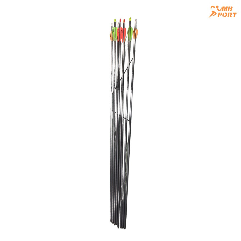 Anak Panah Easton Platinum | Arrow Platinum Olahraga Panah