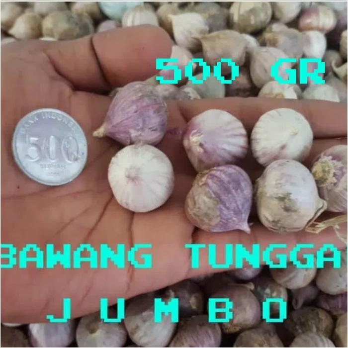 BAWANG PUTIH TUNGGAL/BAWANG LANANG SUPER UKURAN BESAR 500GR - kecil