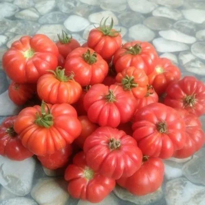 300 Biji /Benih Tomat Mawar Hibrida F1 Bibit Tomat Keriting Unggulan Repack