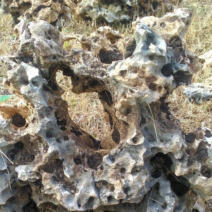Batu karang gunung berkarakter bolong,batu karang bolong,batu bonsai,batu aquarium,batu aquascape,ba
