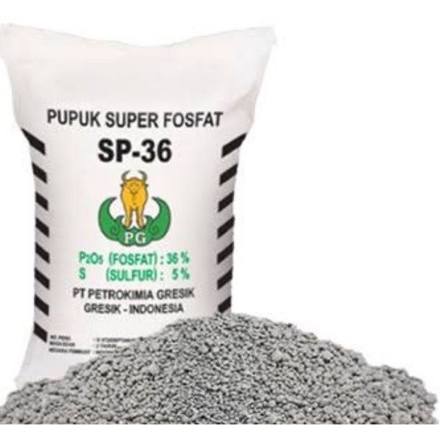 PUPUK SP 36/PUPUK TSP/PUPUK NPK/ISI 500gr - 1KG COD