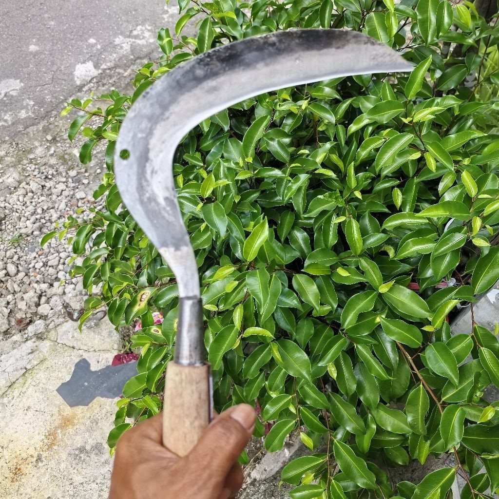 Alat arit rambanan arit rumput kecil sepuh pande tua Garansi Awet Sage