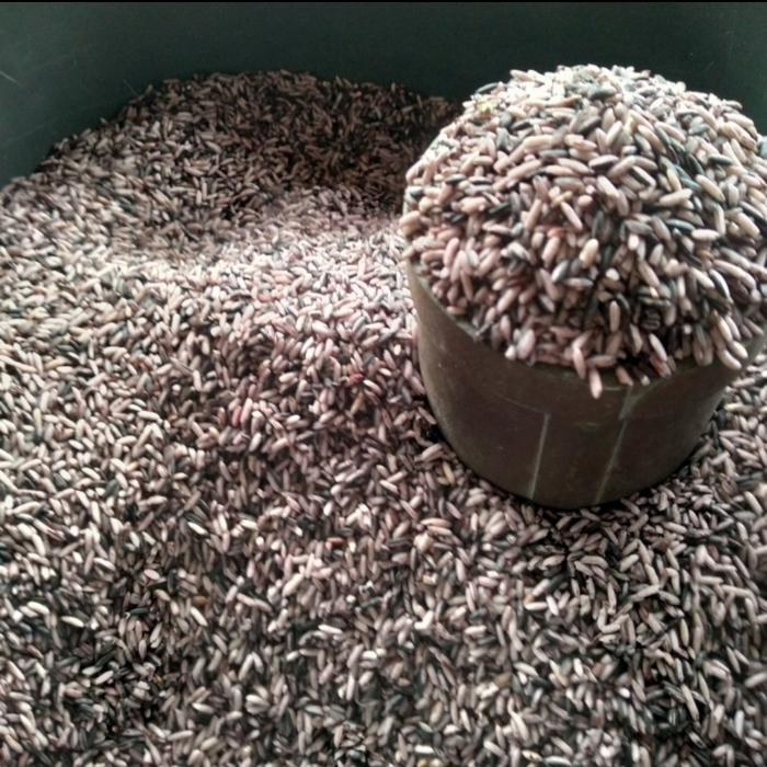 beras ketan hitam sosoh 1 liter