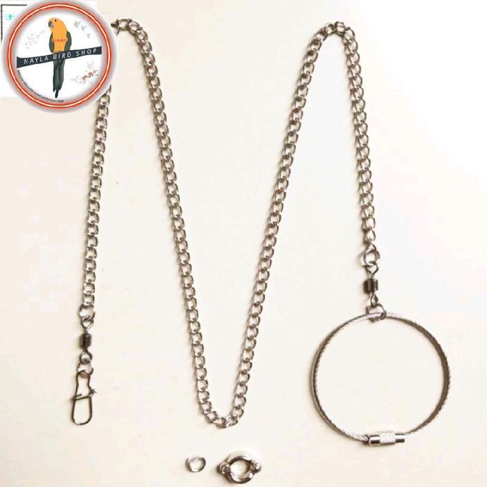RANTAI KAKI BURUNG ANTI KARAT RANTAI BURUNG FALK PARKIT LOVEBIRD DLL RING + BORGOL