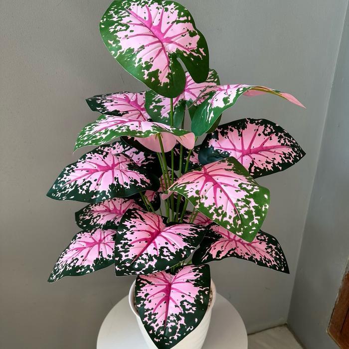 TANAMAN ARTIFICIAL KELADI SRI REJEKI 18DAUN(sudah+pot) - Sri rejeki 18+pot