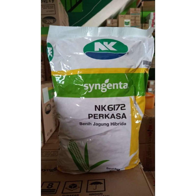 BENIH JAGUNG NK 6172 NK PERKASA SYNGENTA 5 KG