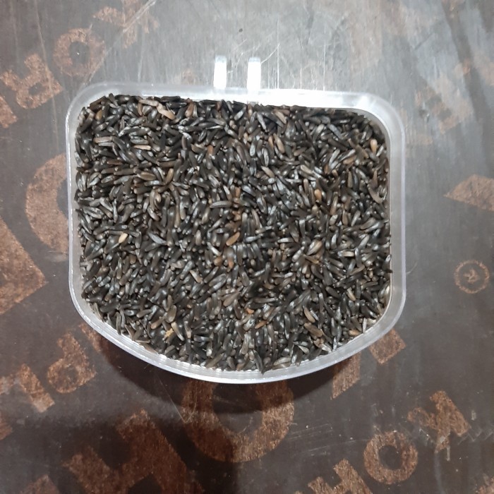 Pakan Burung Niger Seed Kenari 100gram