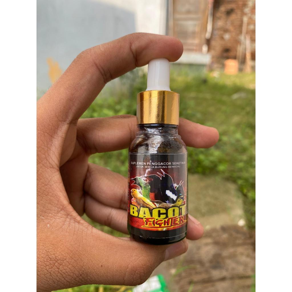 Suplemen Bacot Fighter