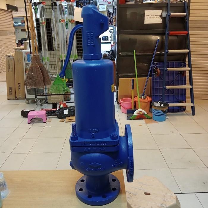 safety valve 2,5" (DN 65) PN 16 ari armaturen 2 1/2 inch