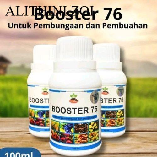 Pupuk Boster 76 perangsang buah kelengkeng