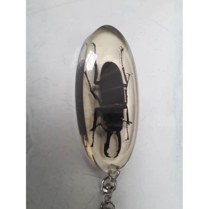 GANTUNGAN KUNCI RESIN SERANGGA JEPANG ASLI  KUWAGATA MUSHI