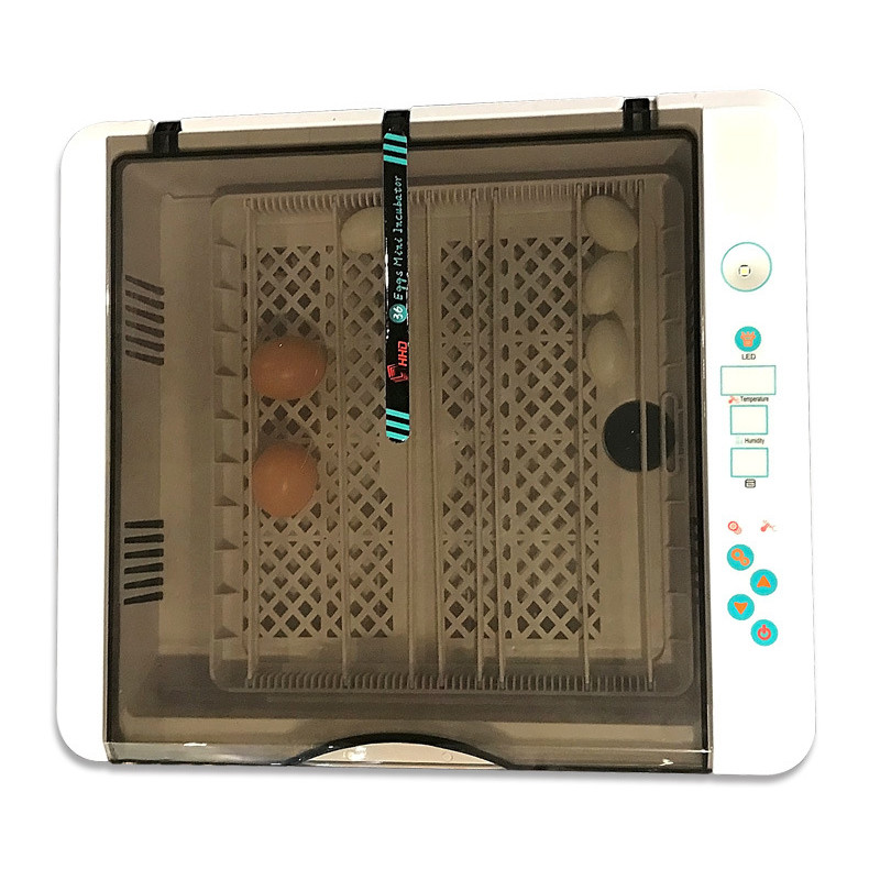 36 chicken incubator EW36 chicken, duck and bird incubator, breeng incubator equipment, egg incubato