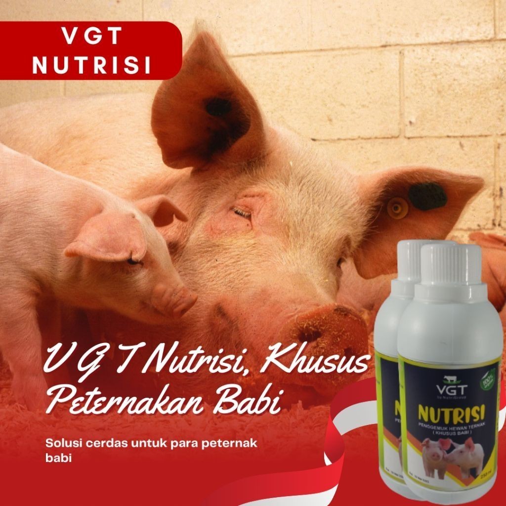 VGT Nutrisi Vitamin Ternak Babi Penggemuk Efektif