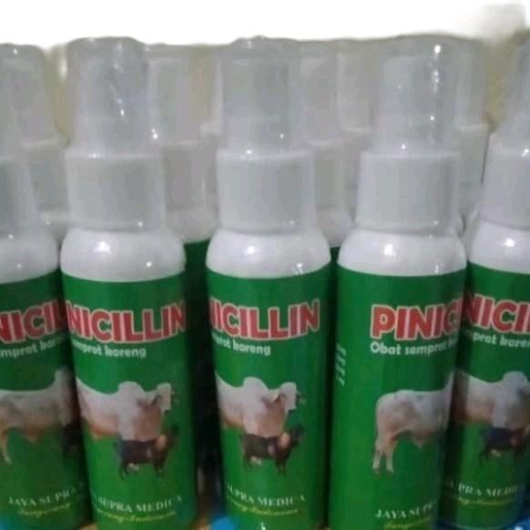 PINISILIN SPRAY OBAT LUKA KORENG PADA SAPI, KAMBING & KERBAU (1pack isi 12pcs) vgt nutrisi