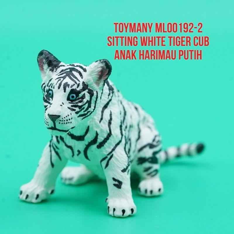 ToyMany ML00192-2 | White Tiger Cub Anak Macan Harimau Putih Bengala Bengal Panthera Tigris | Mainan
