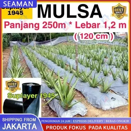 Plastik MULSA 1 ROLL hitam/perak ( Panjang 250 meter x Lebar 1,2 meter ) ROLL