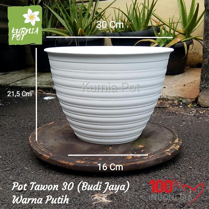 Pot Tanaman Bunga Tawon 30 Cm BJ Warna Putih