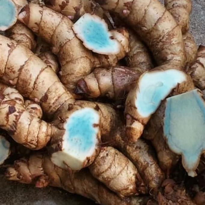 Temu ireng / temu hitam 1 kg