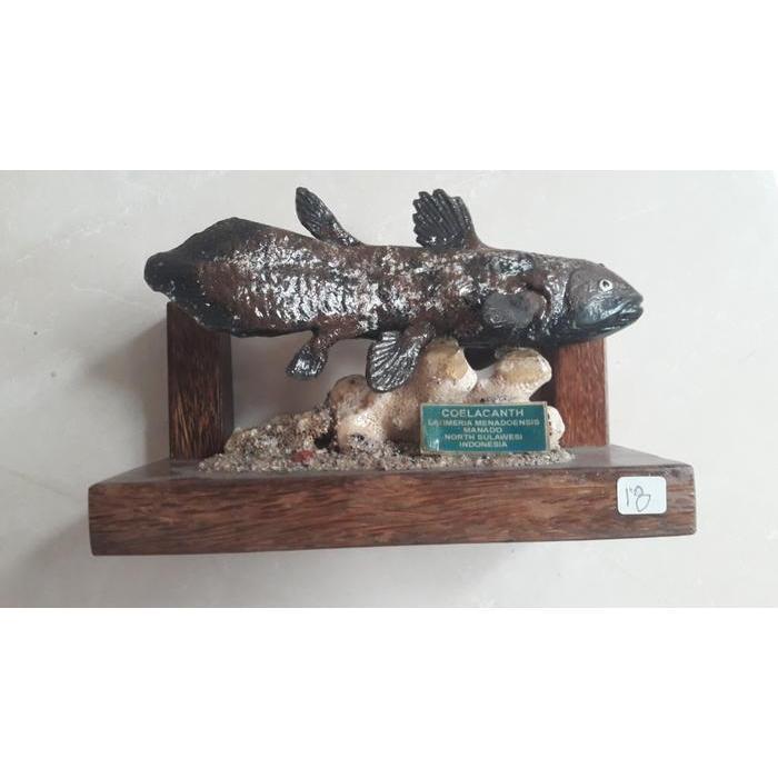 ASLI PATUNG KERAMIK RARE  IKAN PURBA COELACANTH No 18