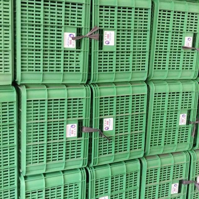 Keranjang YTH Keranjang Plastik Keranjang Industri BARU