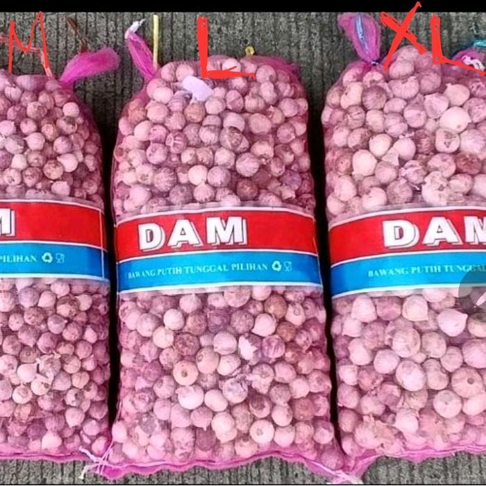 bawang putih tunggal jumbo @10kg
