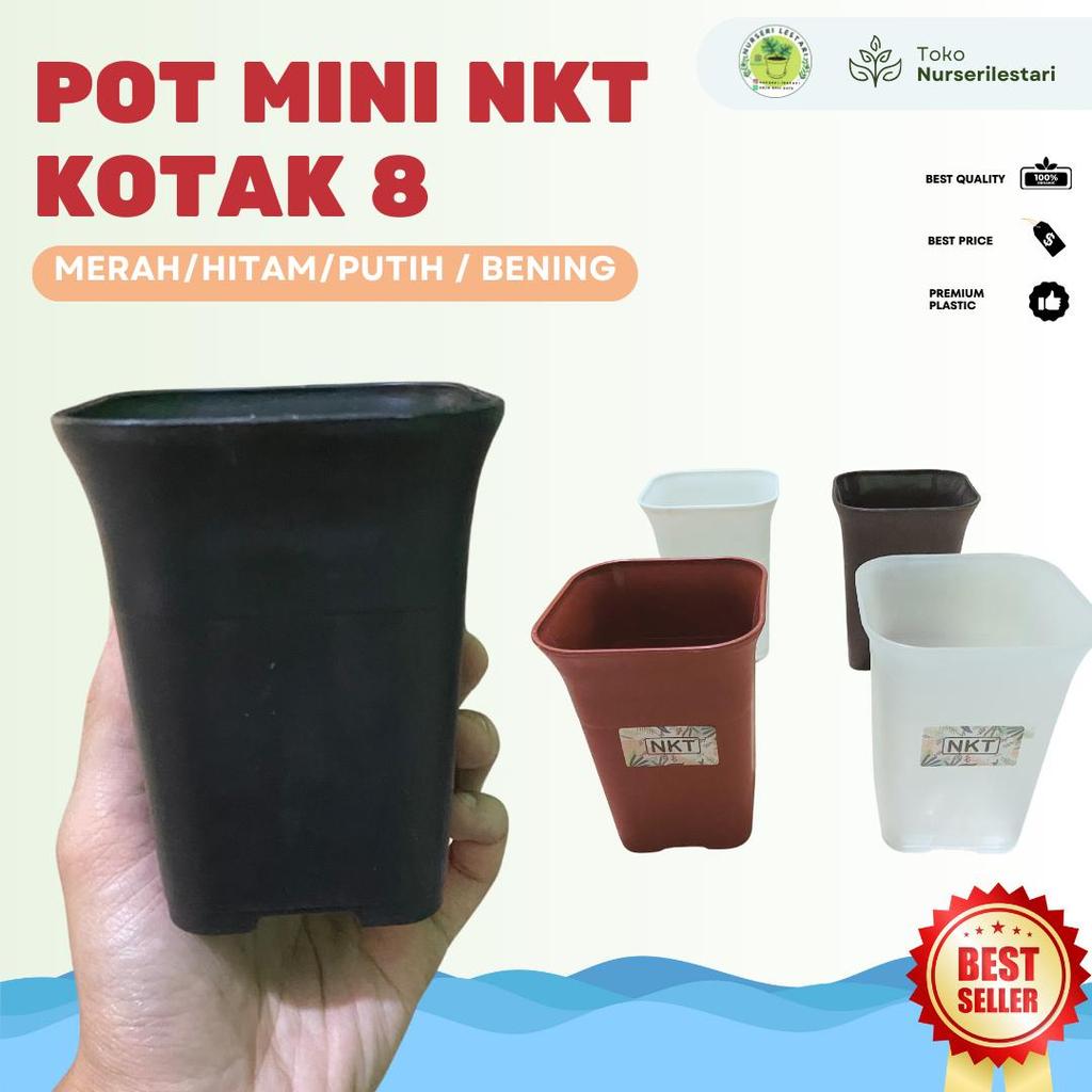 Pot NKT Kotak Mini Kecil 8 cm - HITAM/MERAH/PUTIH/BENING