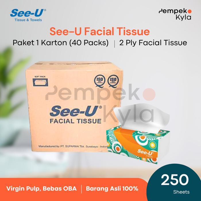 tissue see u 250 sheet 1 dus