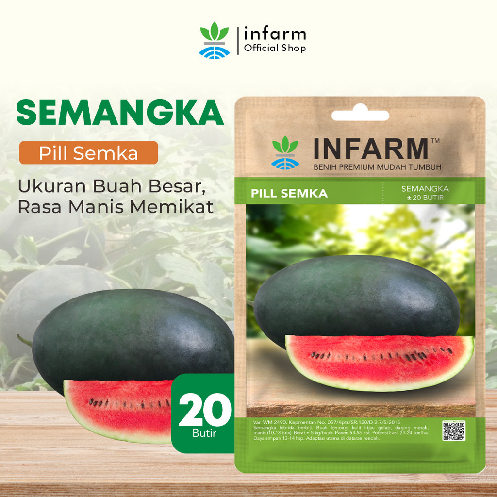 KAYUAN - Benih Buah Semangka Merah Pillsemka Bibit Buah Semangka Merah Lonjong Unggul Bibit Premium