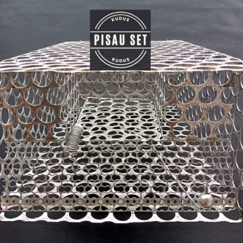 Jebakan tikus masal. Uk Jumbo Perangkap Tikus Masal Jebakan Massal