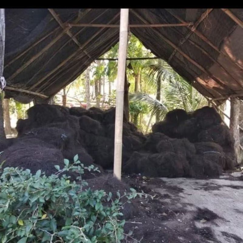 promo ijuk bahan kerajinan sapu atau tempat bertelur nya ikan/1kg