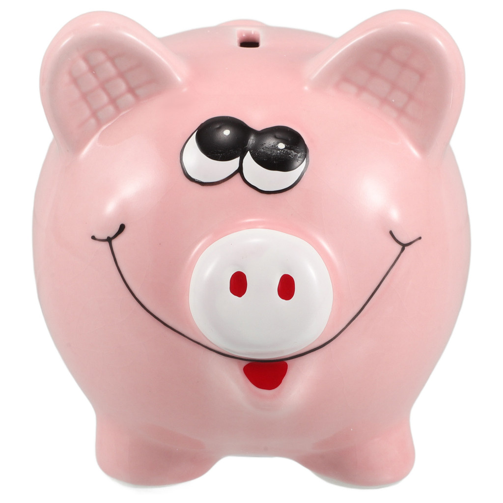 Ceramic Piggy Bank Sturdy Handcrafted PigShaped Coin Jar for Home School Office Decorative Money Sav