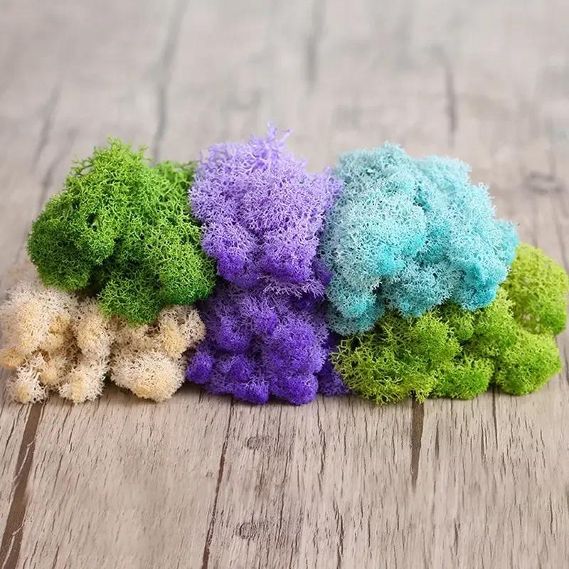 20/40g Natural Norwegian Reindeer Moss Preserved Dried Craft Flower Stamen Decoration Wedng Ornament