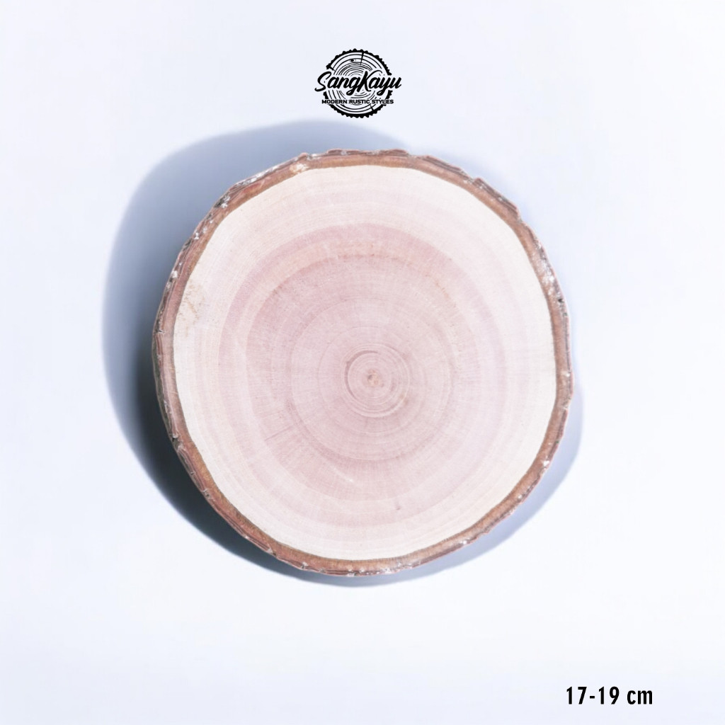 SangKayu Wood Slice 17-19 cm Hiasan Dinding Potongan Kayu Craft Dekorasi