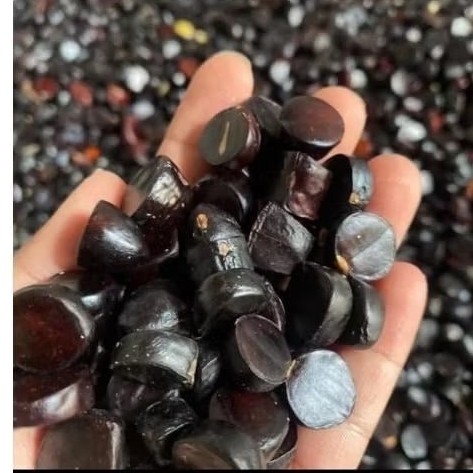 Jolang Jaling Kabau Lampung 250gr Lalapan Khas Sumatera