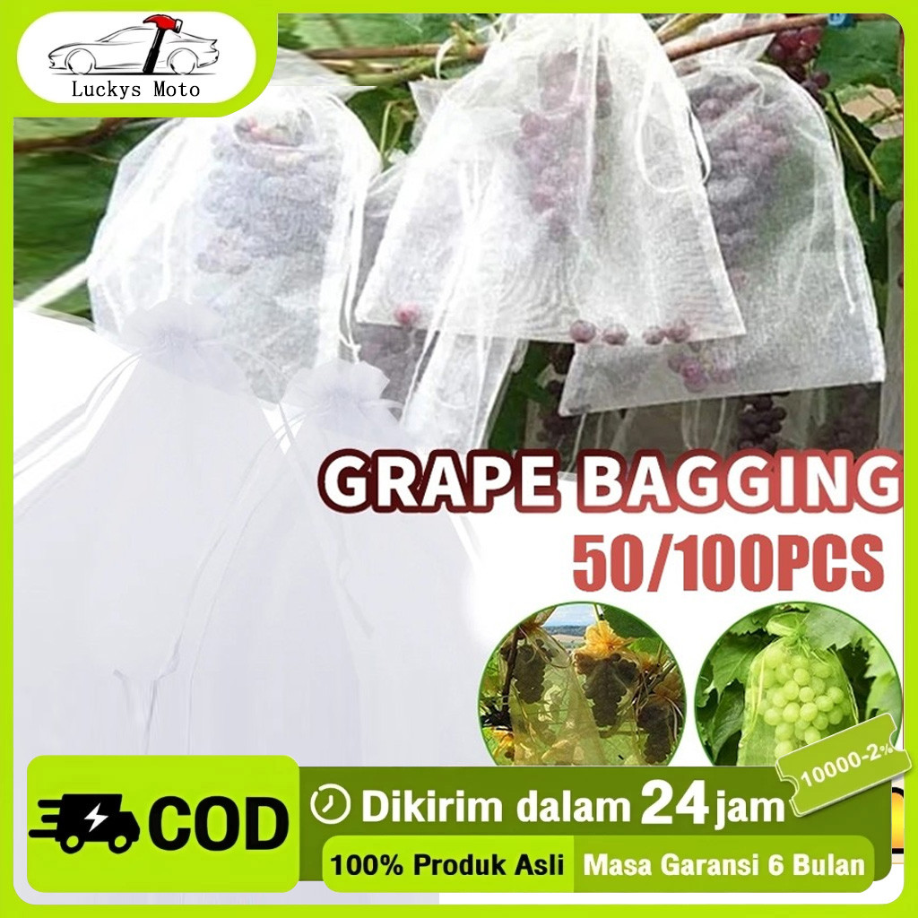 100PCS Fruit Cover/Pembungkus Buah/Fruit Cover Anti Serangga/Fruit cover net jaring transparan pembu