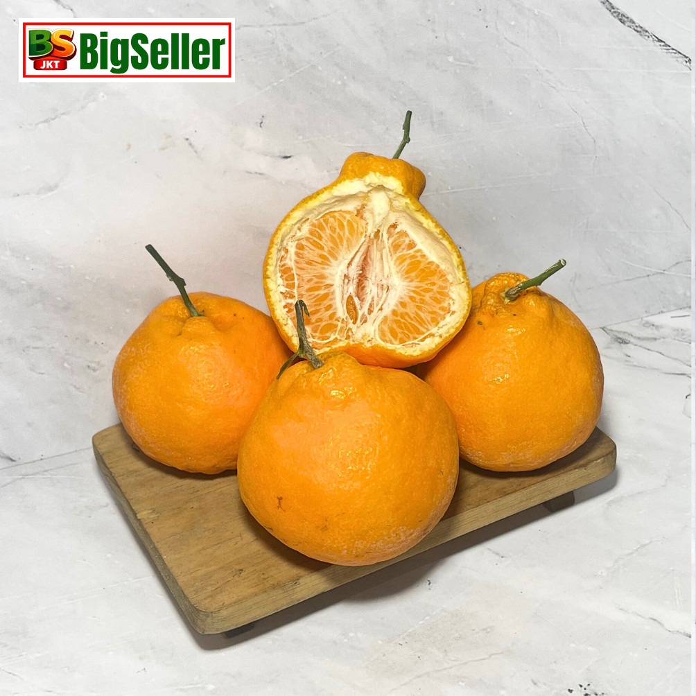 JERUK DEKOPON PAPAGAN CHUN JIAN SUMO MANDARIN