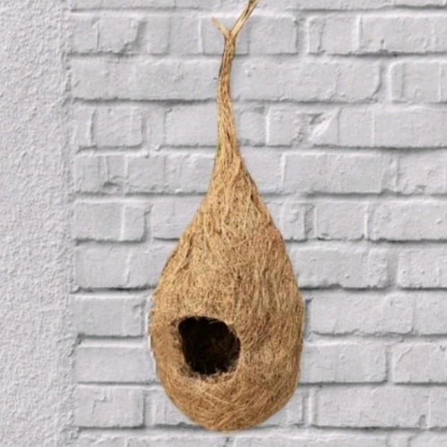 SARANG BURUNG TEMPAT BERTELUR BURUNG LOVEBIRD    SARANG BURUNG  (Sovenirstore)