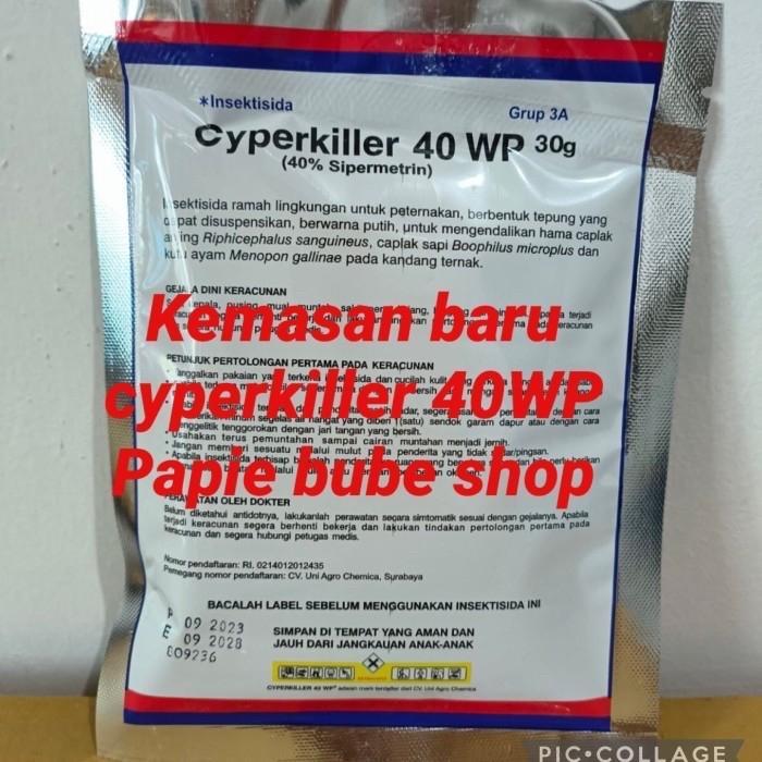 Cyperkiller 40 wp obat pembasmi hama kutu serangga walet asli KOREA