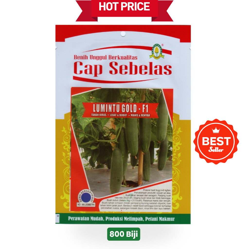 Timun Lumintu Gold F1 Cap Sebelas