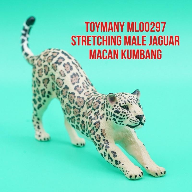 ToyMany ML00297 | Stretching Male Jaguar Panthera Onca Macan Kumbang Jantan Macan Tutul | Mainan Fig
